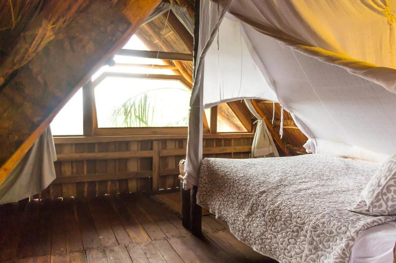 بيت شباب Bambu Gran Palas Hostal Party