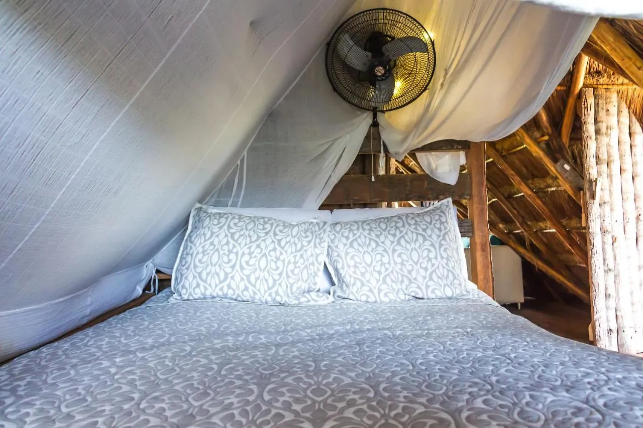 Bambu Gran Palas Hostal Party بيت شباب تولوم
