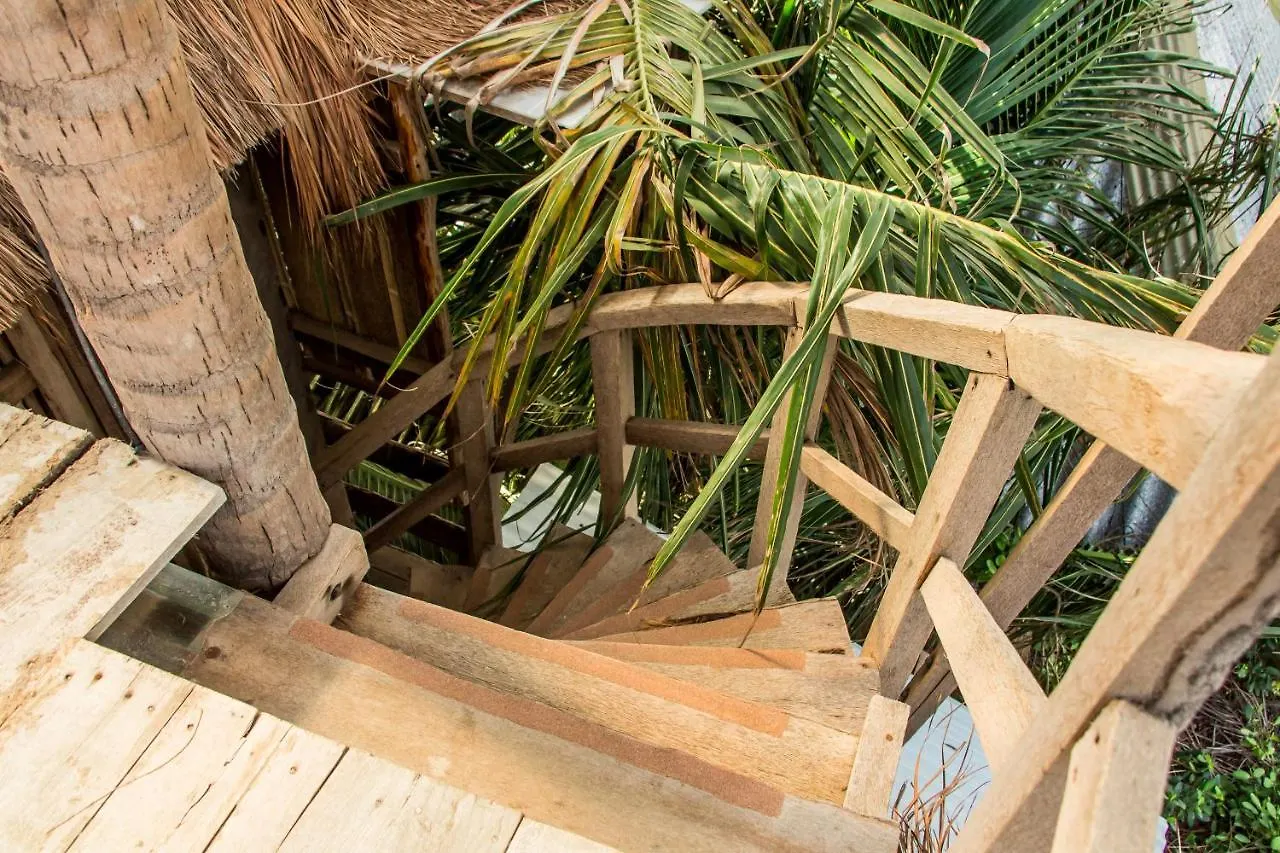Bambu Gran Palas Hostal Party Hostel