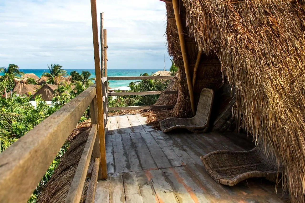 Bambu Gran Palas Hostal Party Tulum